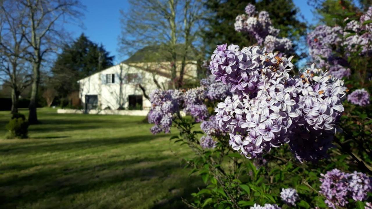La Maison Du Champ De Beaumont Galgon Экстерьер фото